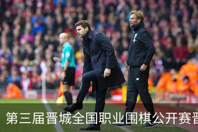 第三届晋城全国职业围棋公开赛晋城开幕